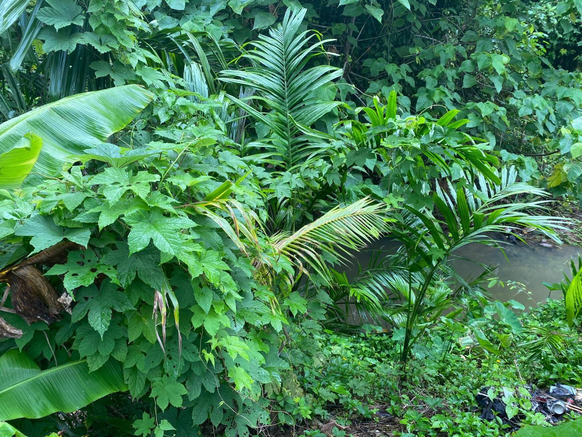 Arya Bungalow Ko Lanta 外观 照片