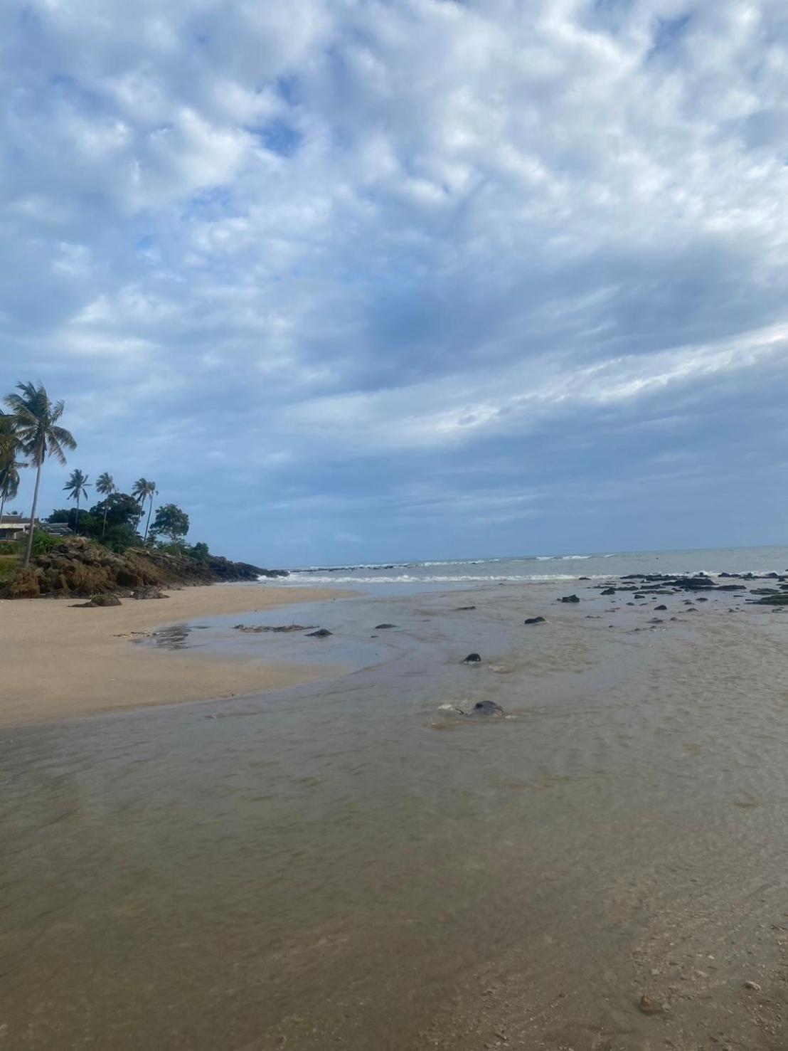 Arya Bungalow Ko Lanta 外观 照片